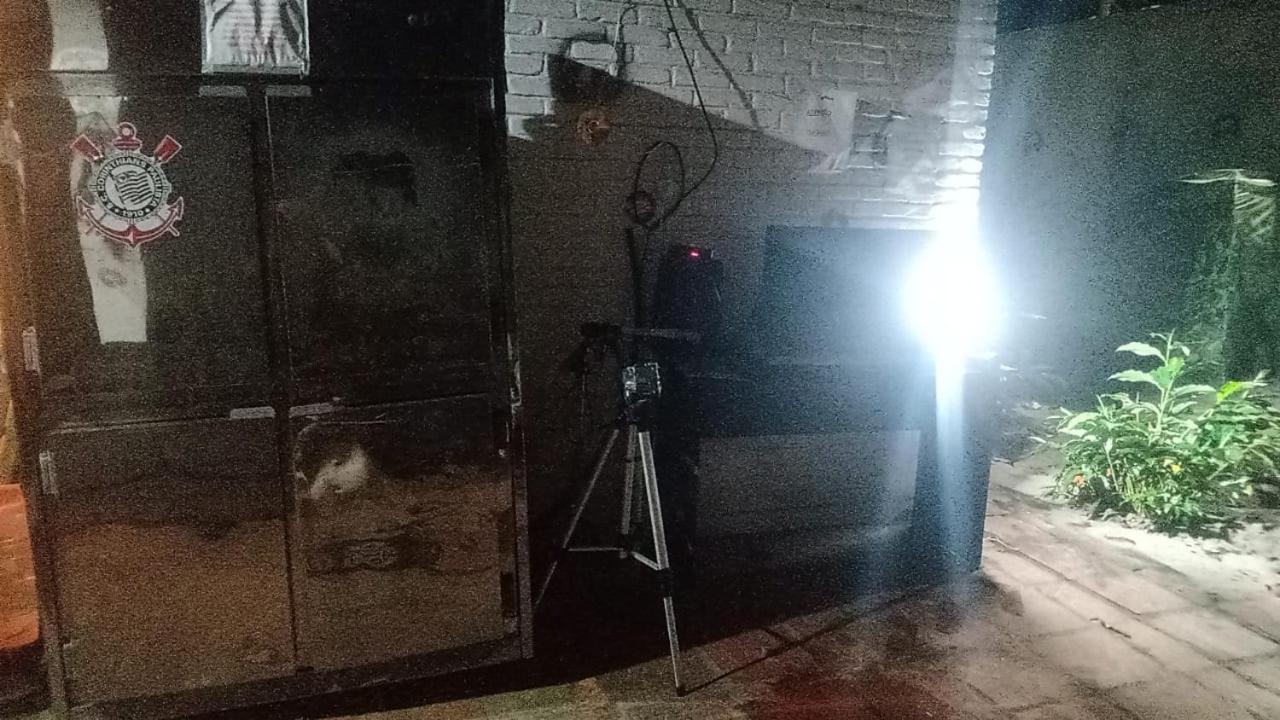 Hostel Elephant Del Mar Γκουαρούχα Εξωτερικό φωτογραφία